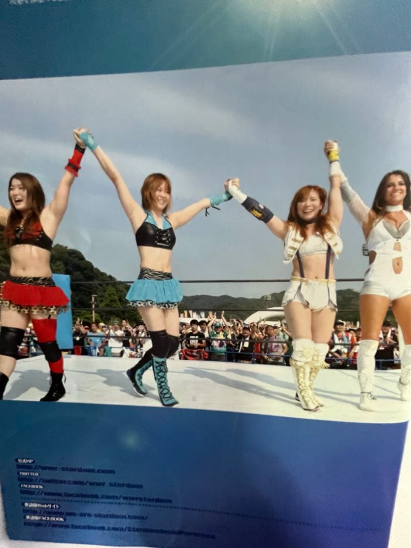 スターダム観戦ガイドブック 紫雷イオ、岩谷麻優、サンダーロック