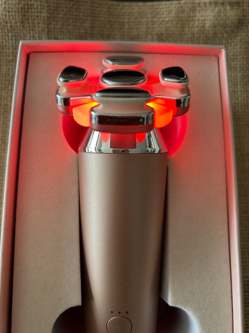 【tadasu】美品　ZOGAKIN BLOOM