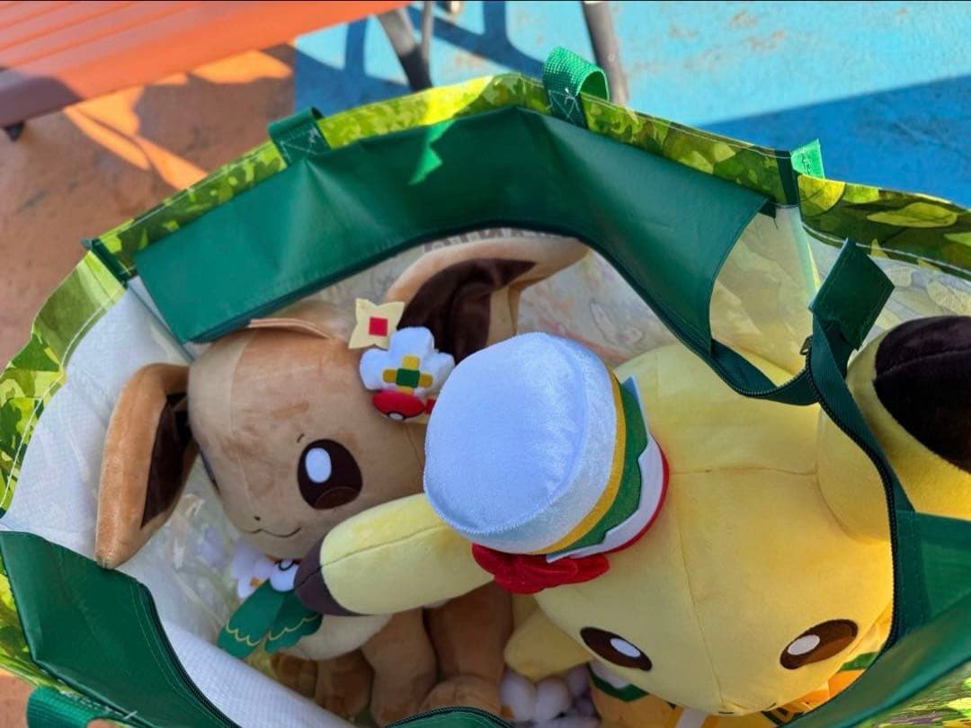 ぬいぐるみ大 イーブイ ピカチュウ ポケパーク カントー 限定 ポケモン