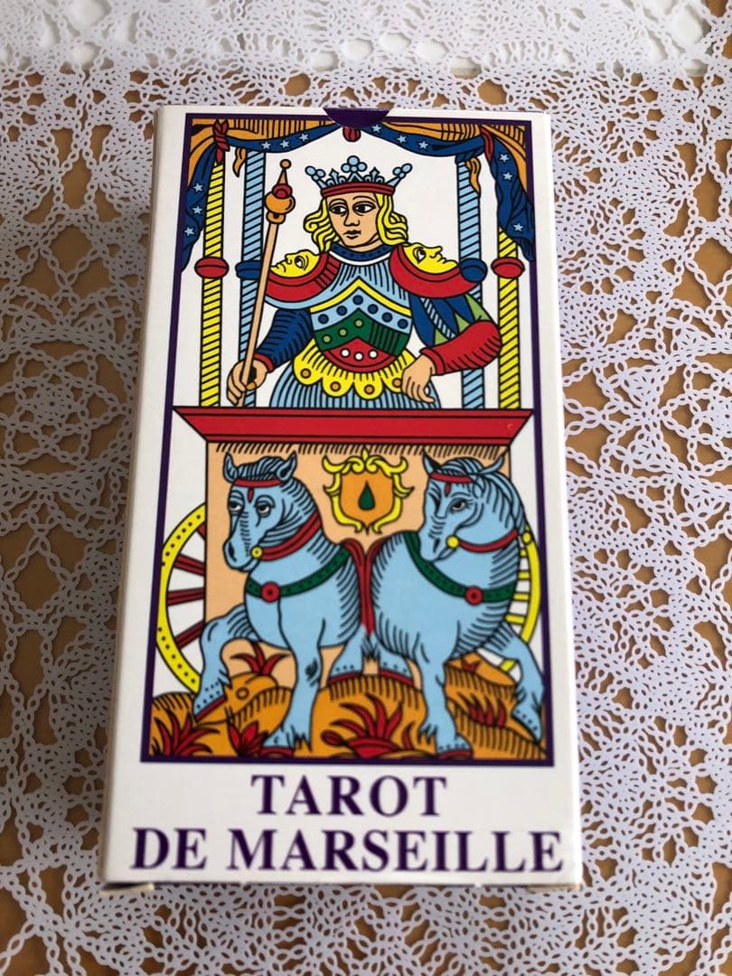趣味・スポーツ・実用 CAMOIN TAROT DE MARSEILLE 819ZizJDHHL._AC_UF350,
