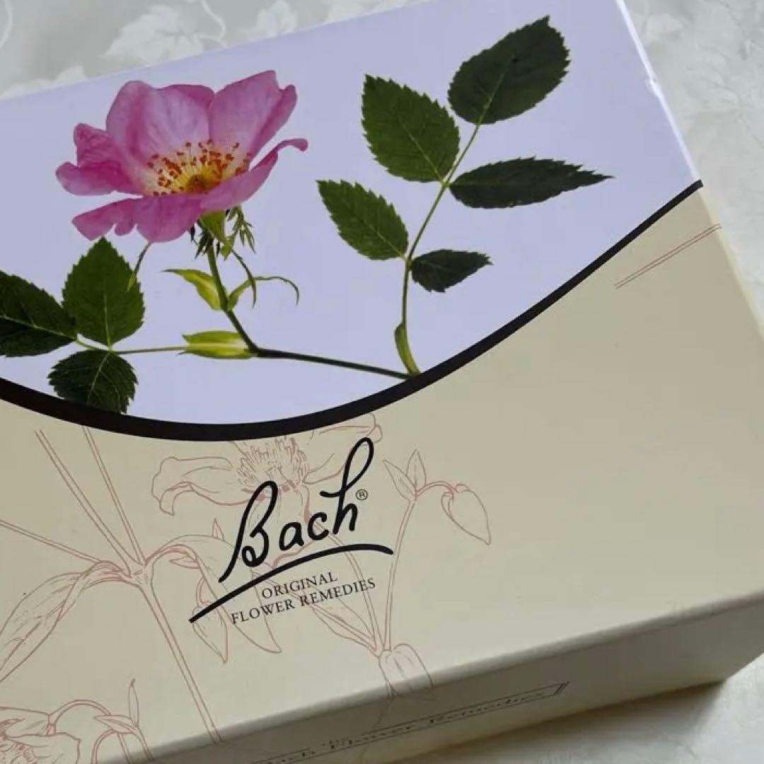 最終お値下げ❣️超特価❣️✴︎✴︎バッチフラワーレメディ✴︎✴︎ボックス39本セット