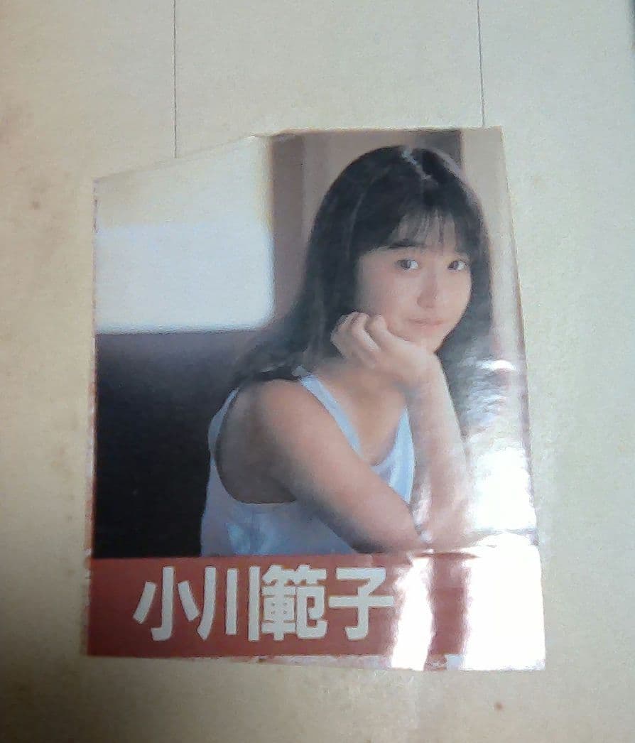 官能小説まとめ売り　計８５冊