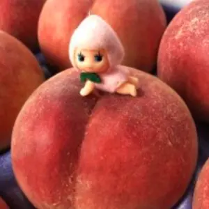 バラ売り⭕️】大学入試過去問 立命館/同志社/神戸/大阪公立/文系