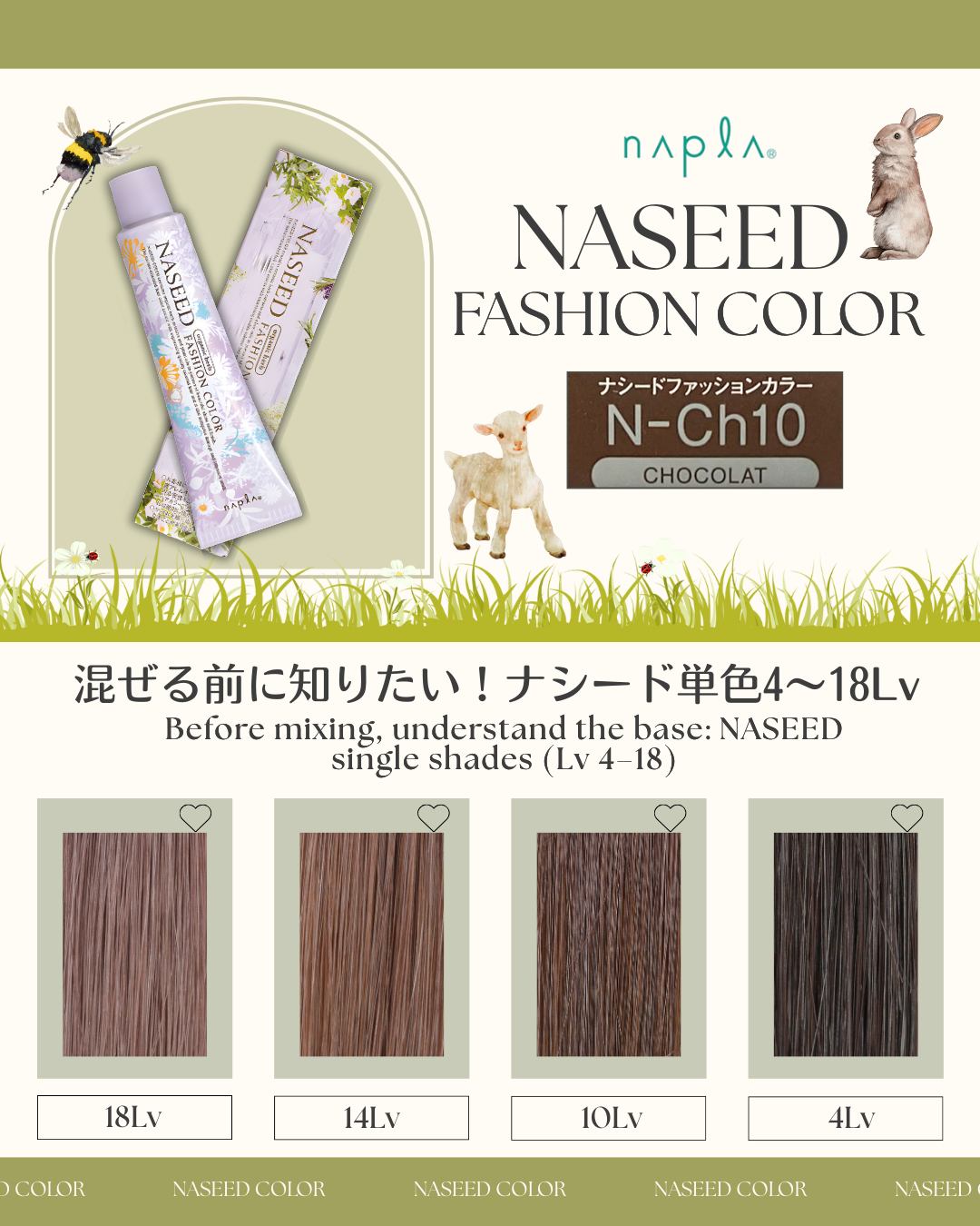 ナシードカラー オキシ 6% 1000ml 【医薬部外品】の卸・通販