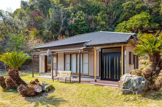 219529_large.jpg?1594642682