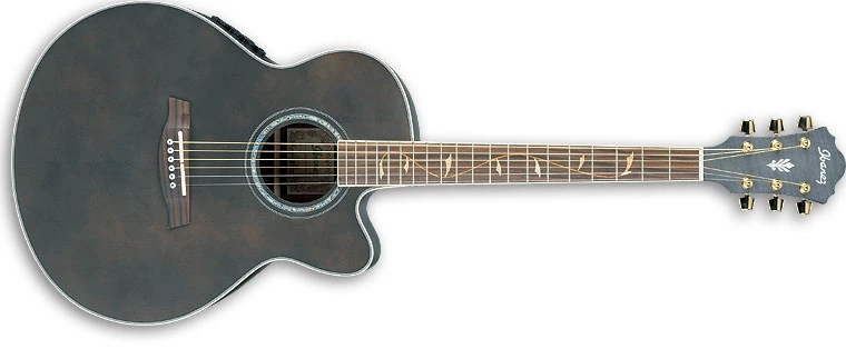 Ibanez AEL20E / AEL40SEジャンク ケース付 Ibanez AEL20E / AEL40SE