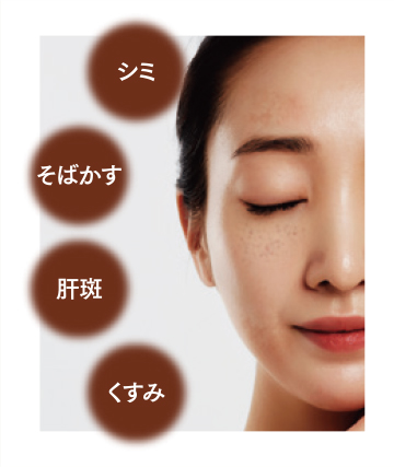 エクストラコントロールホワイトの通販 - 銀座ステファニー化粧品公式