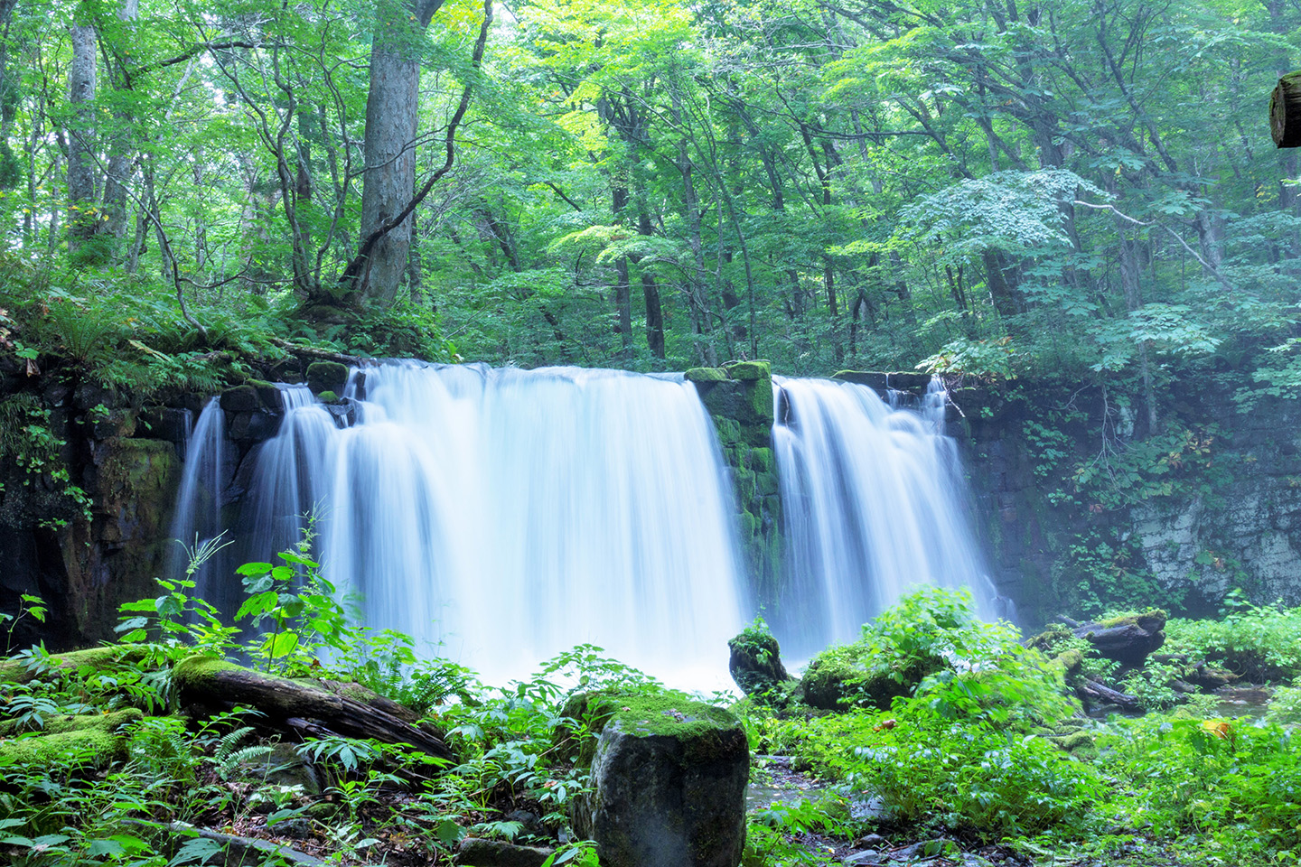 奥入瀬渓流の観光ガイド (青森県十和田市奥瀬)| NAVITIME Travel
